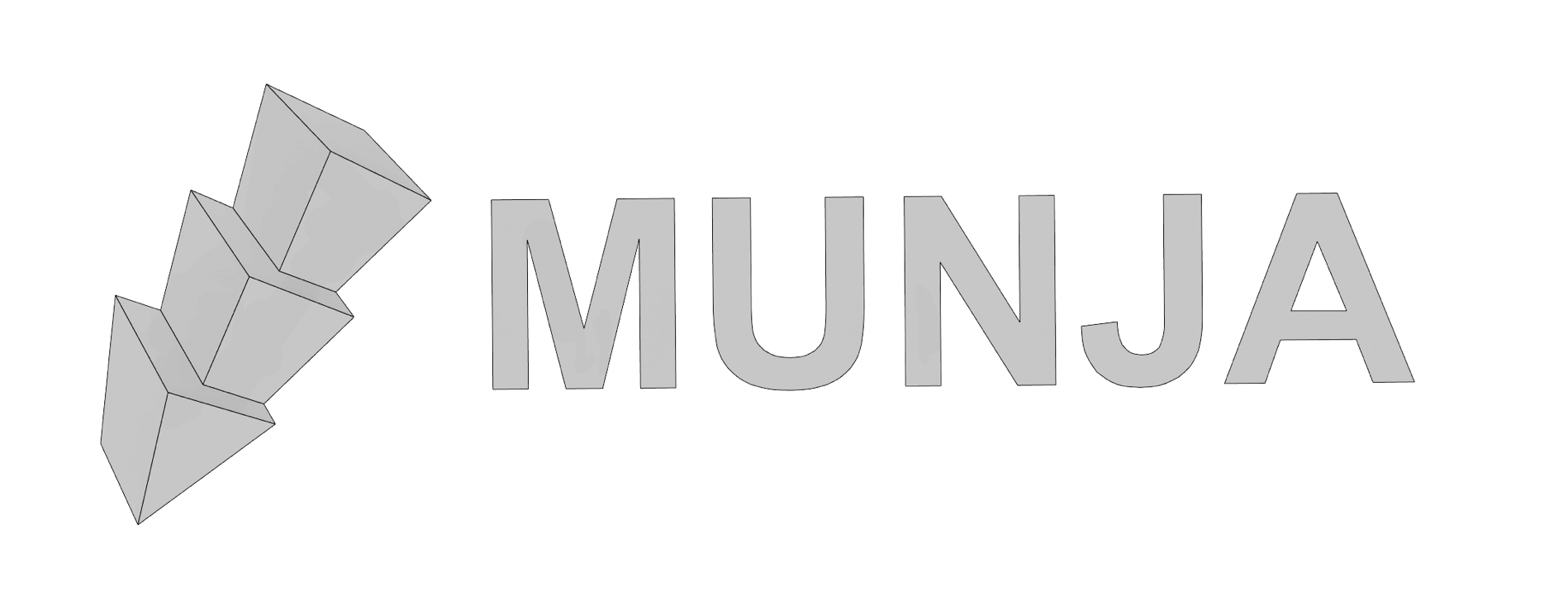 3D Munja